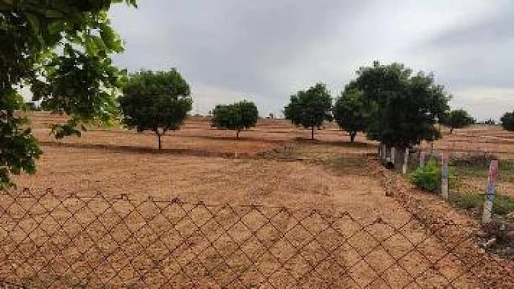 land sale