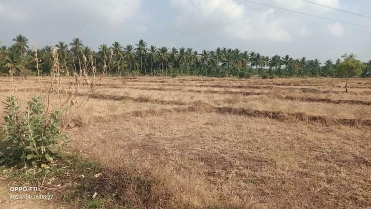 Land for sales