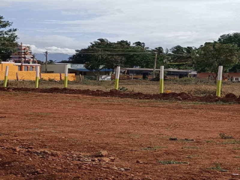 Residential Plot