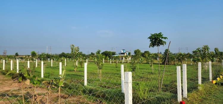 Single Property Image