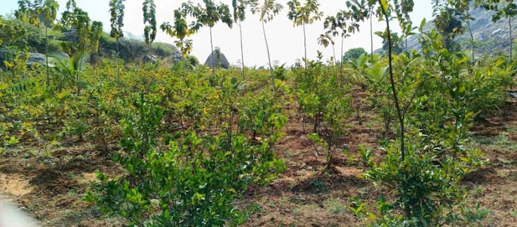 Single Property Image