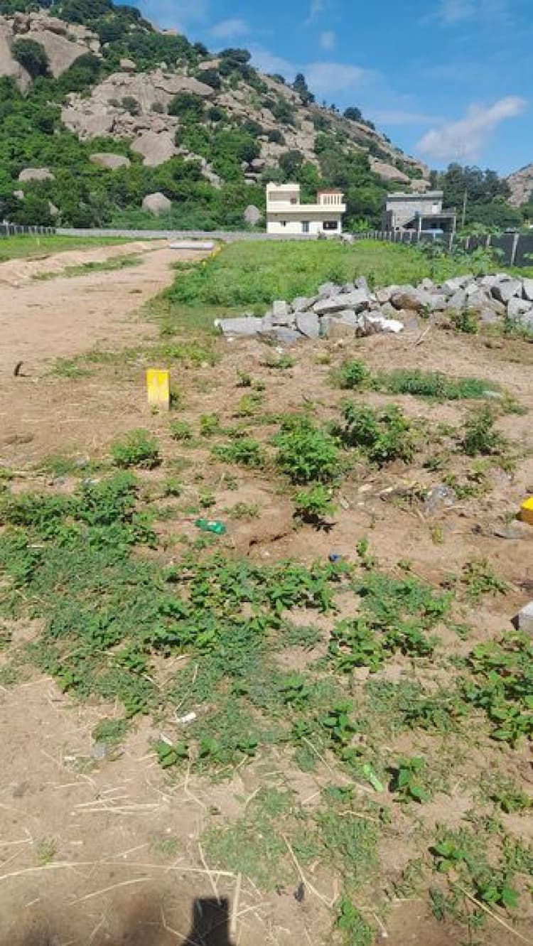 Plot sale