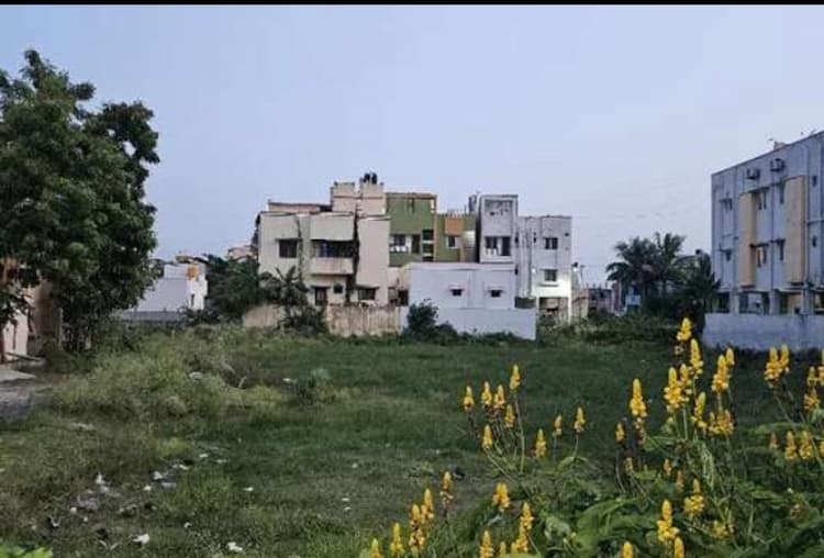 Land for sales