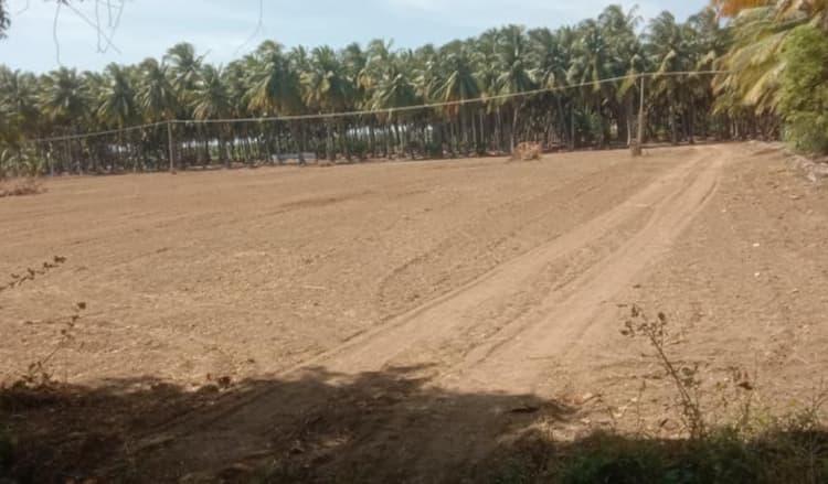 Land for Sale