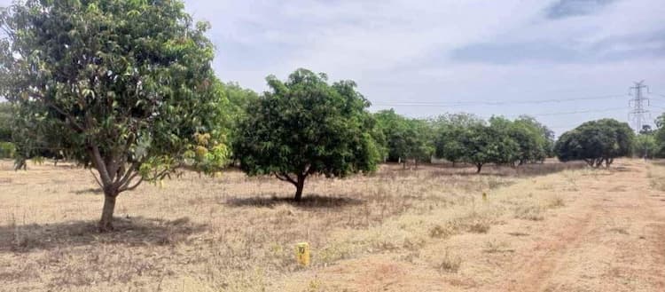 land sale
