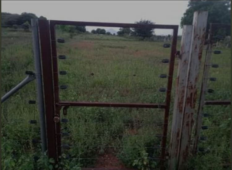 Single Property Image