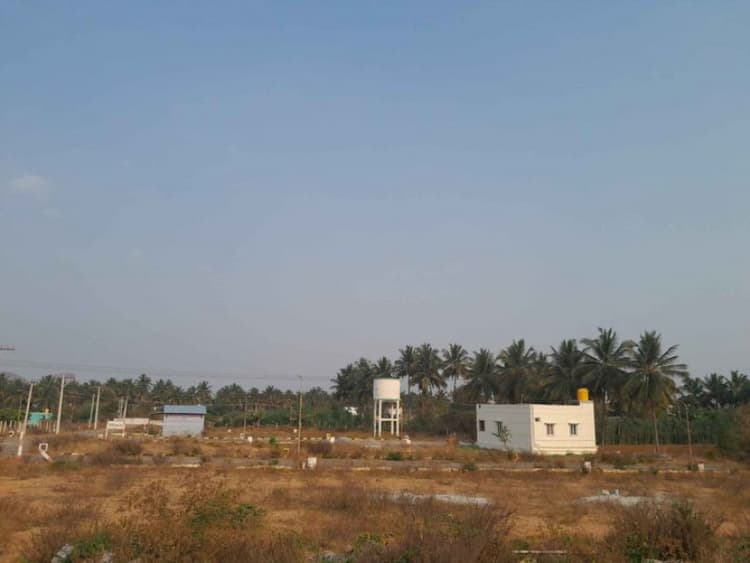 Plot sale