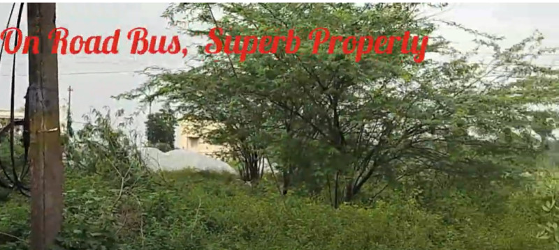 Land for sales