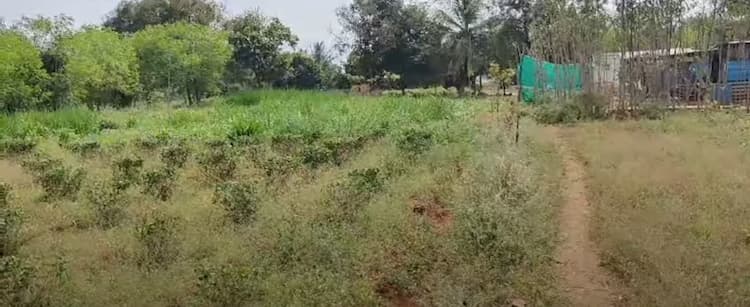 1.80 Acre Land for Sale