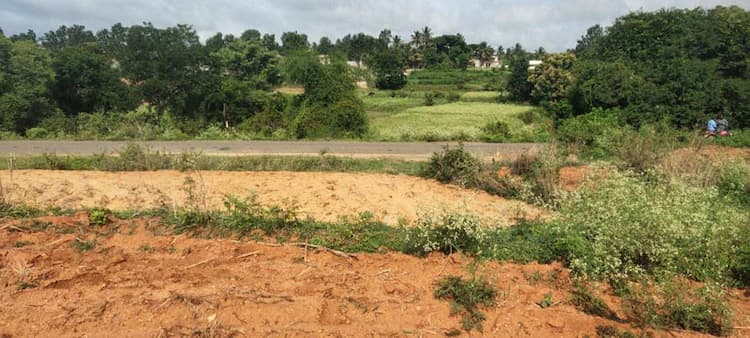 NVG FARM LANDS Agricultural Land 