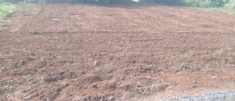 Land for sales