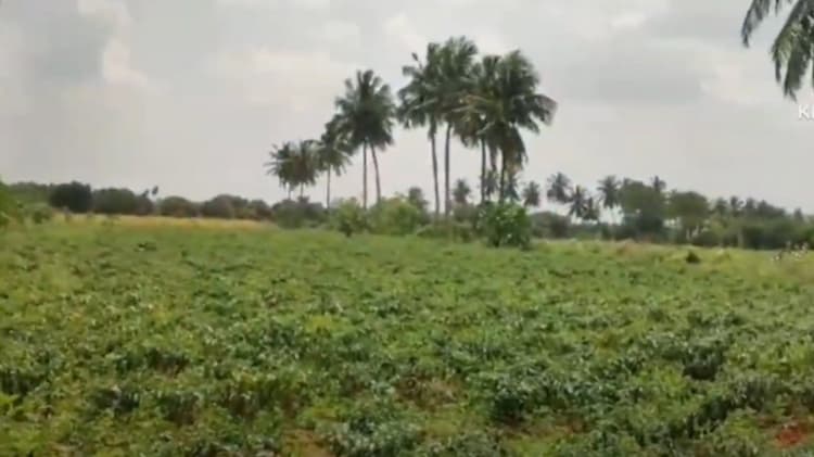 Land for sales