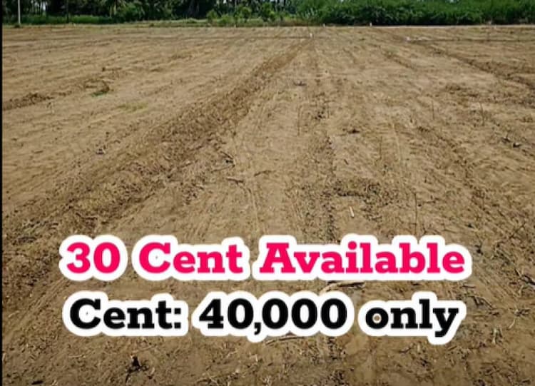 Land for sales