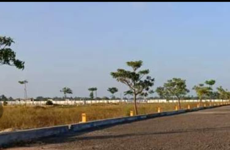 Land for sales