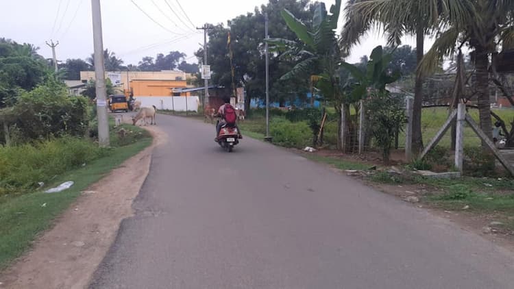 Single Property Image