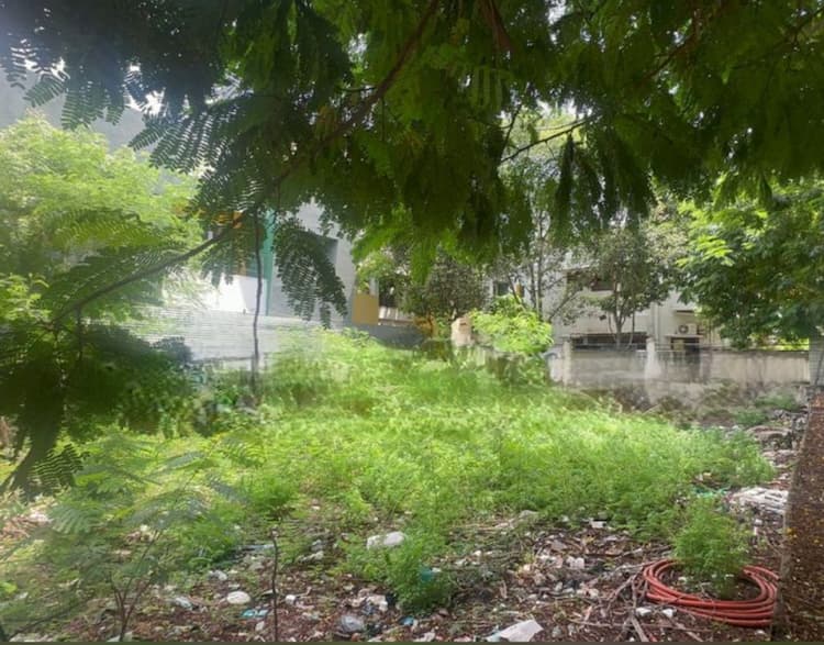 Land for sales