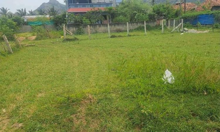 Plot sale
