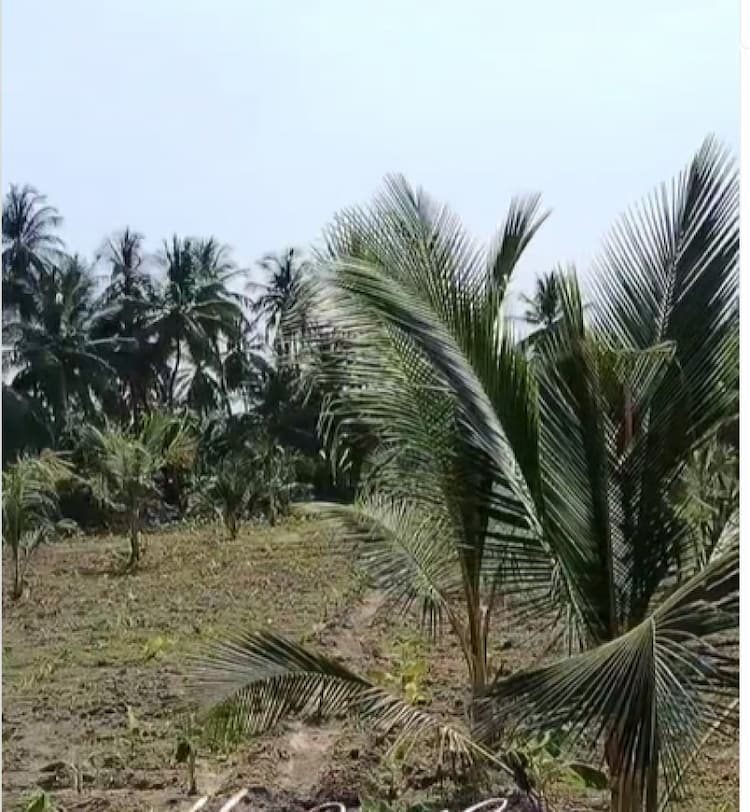 Land for sales