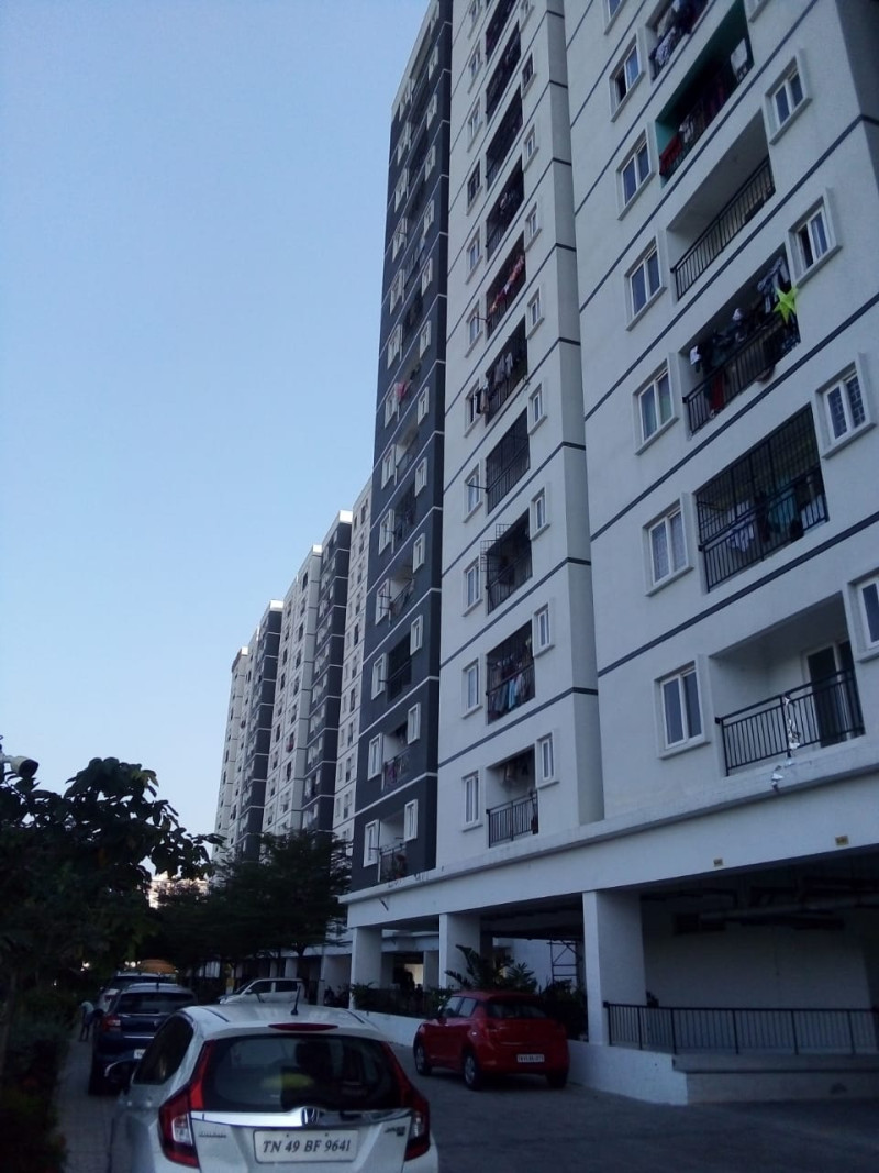 Flat and Apartments
