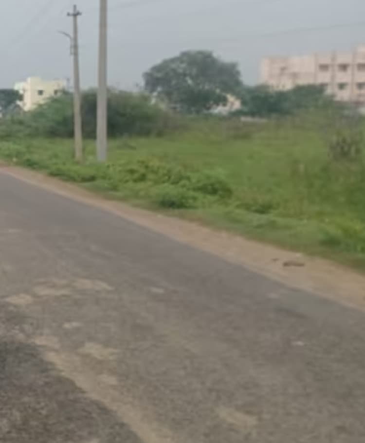 plot for sale