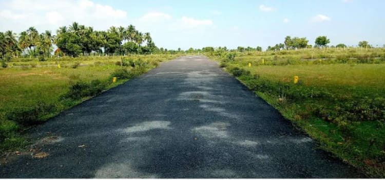 Single Property Image