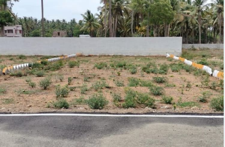 Plot for sale