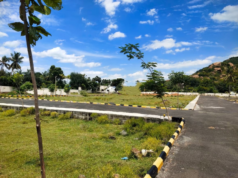 plot for sale 