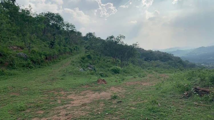 Single Property Image