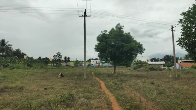 Single Property Image