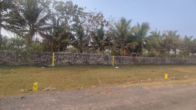 land  for sale