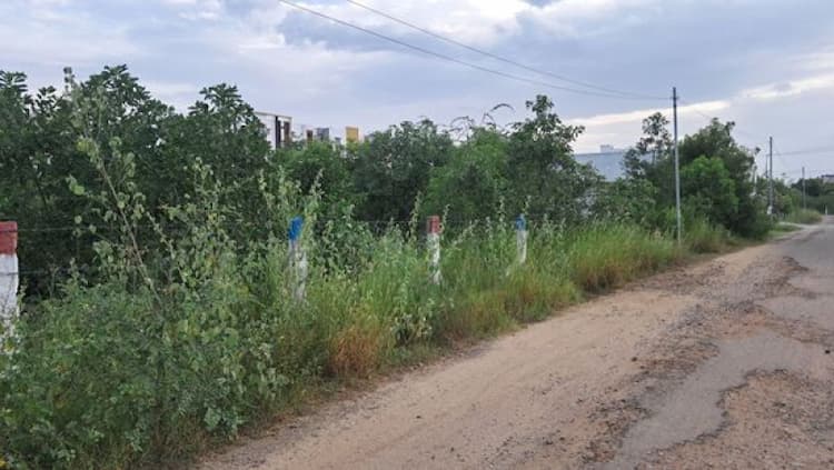 Land for Sale