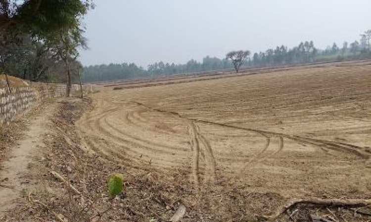 land sale