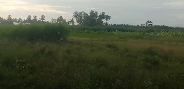 Land for sales