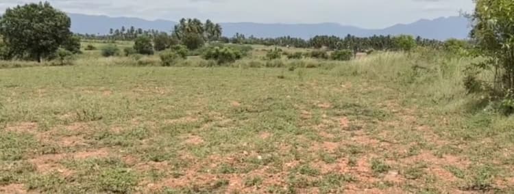 land for sales