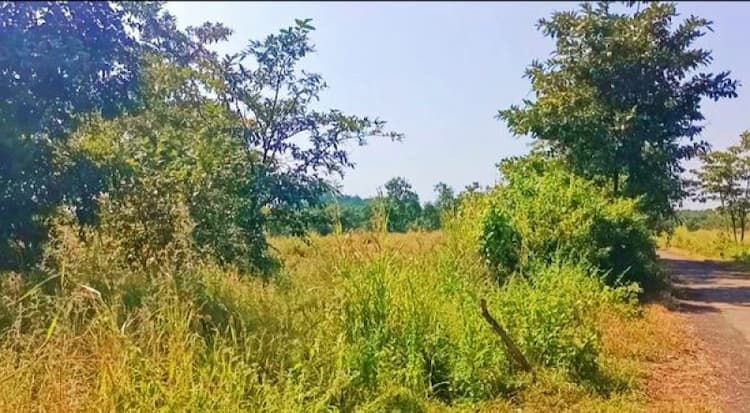 Land sale