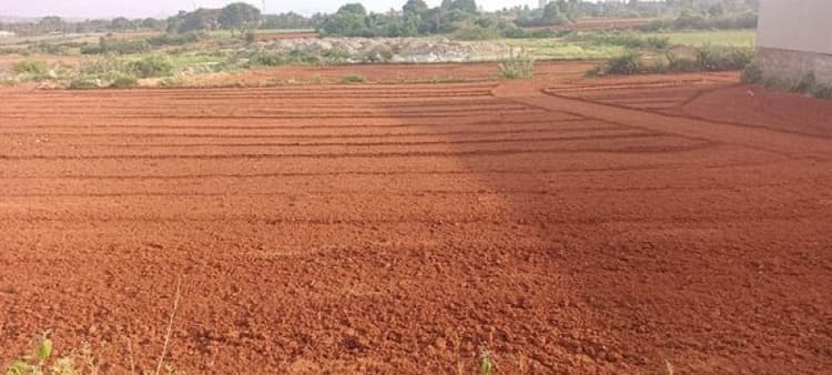 Land sale