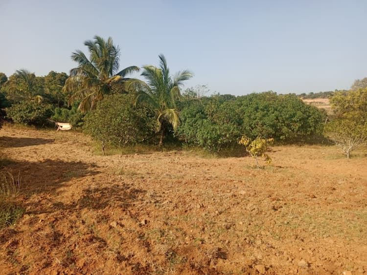 5 acre Plot