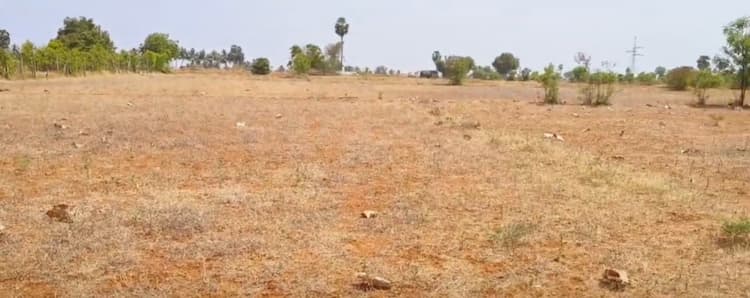 Land for sales