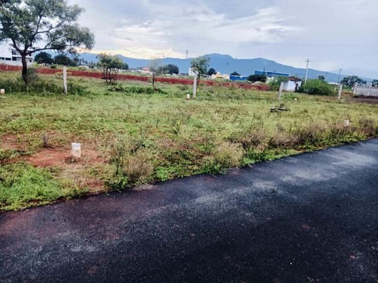 Single Property Image
