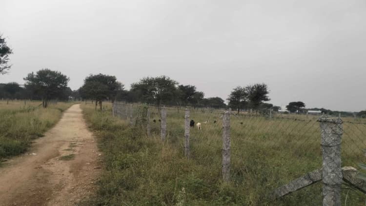 25 Cent Land for Sale