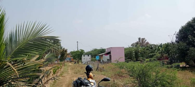 Land For Sales