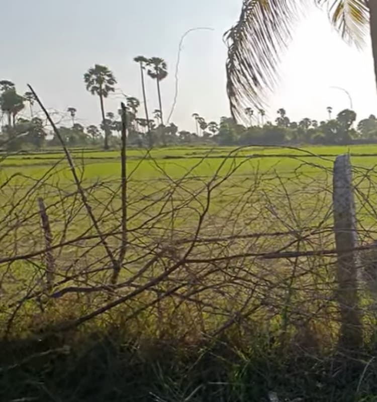 Land for sales