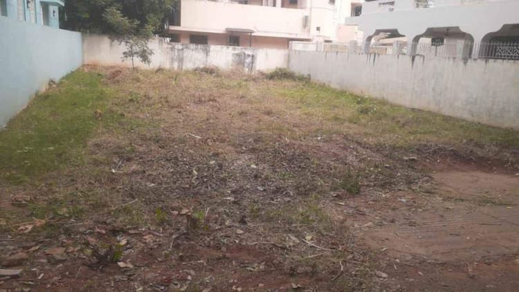 Site for Sale