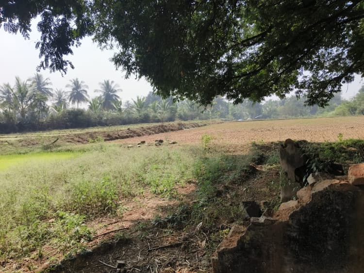 4.80 acre land for sales
