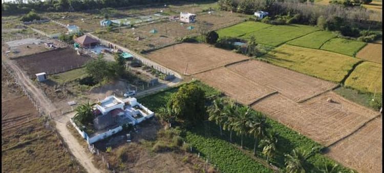 Farm land sale