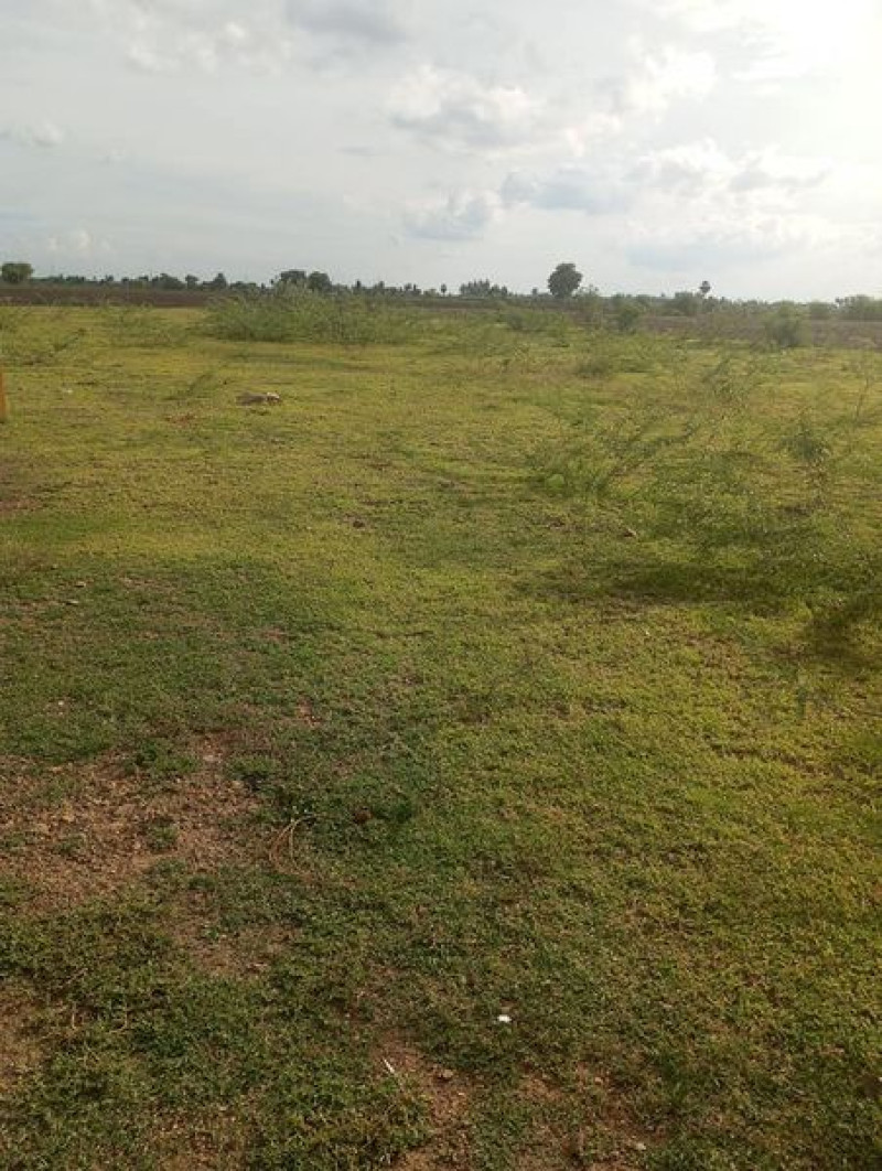 Plot sale