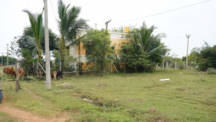 Single Property Image