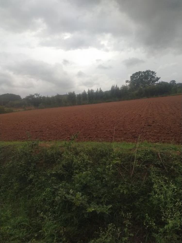 Land sale