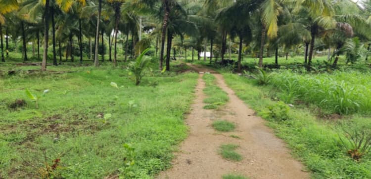Single Property Image