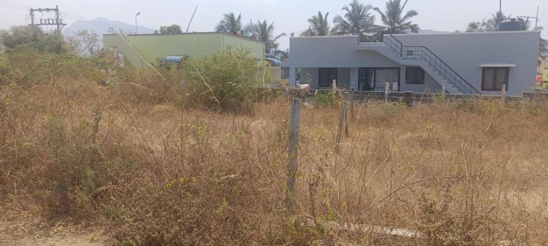 site for sale